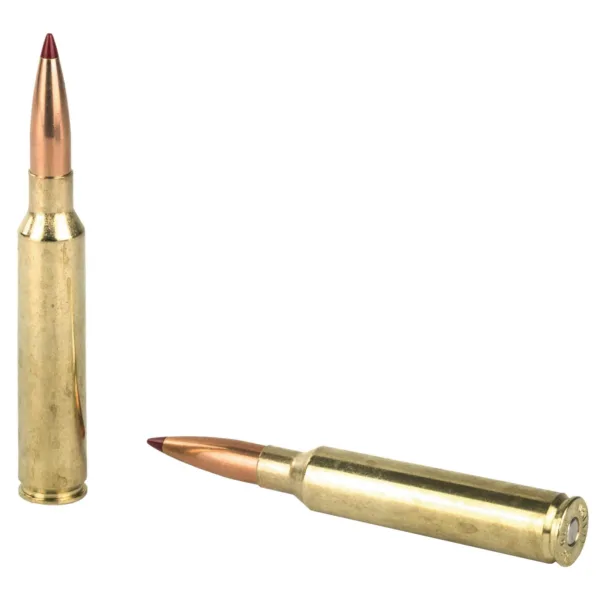 HORNADY PRECISION HUNTER AMO 300 PRC 212GR ELD-X 20RD (10 BOX CASE) - Image 3