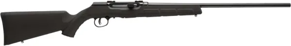 SAVAGE A17 .17HMR SPORTER 22"
