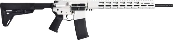 RUGER AR556 MPR .223 30-SHOT