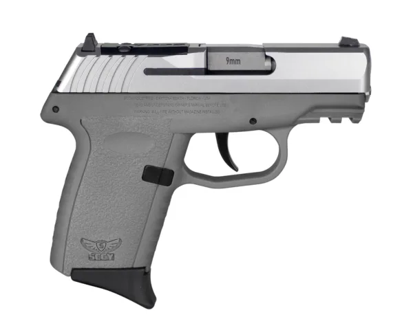 SCCY CPX-2 RDR Handgun 9mm Luger 10rd Magazine 3.1" Barrel No Safety Stainless Slide/Sniper Grey Frame