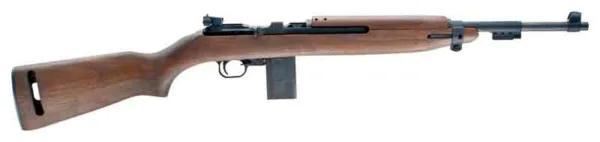 CHIAPPA M1-22 .22LR