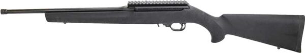 FAXON 10/22 HOGUE 22LR RIFLE - Image 2