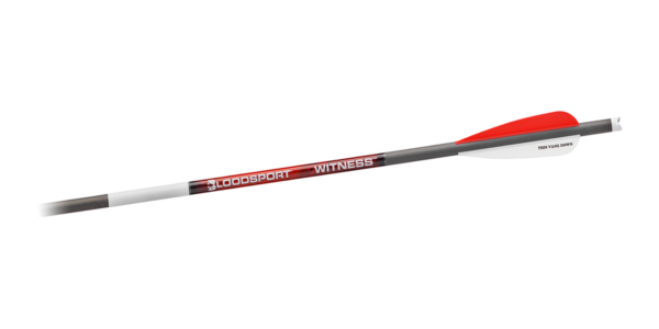 Bloodsport Witness Crossbow Bolt 20" 300 Spine 6/pk