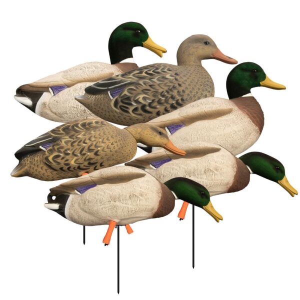 Higdon Outdoors Magnum Full Body Mallard Variety Pack Flocked Heads 6pk