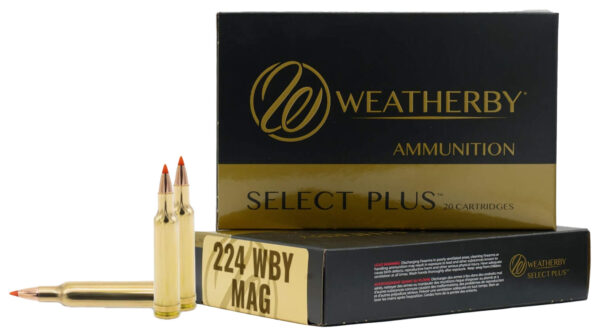 WBY AMMO 224WBY 50GR V-MAX 20/10